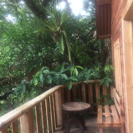 Villa Ecoturistica La Huerta De Xilitla Zewnętrze zdjęcie